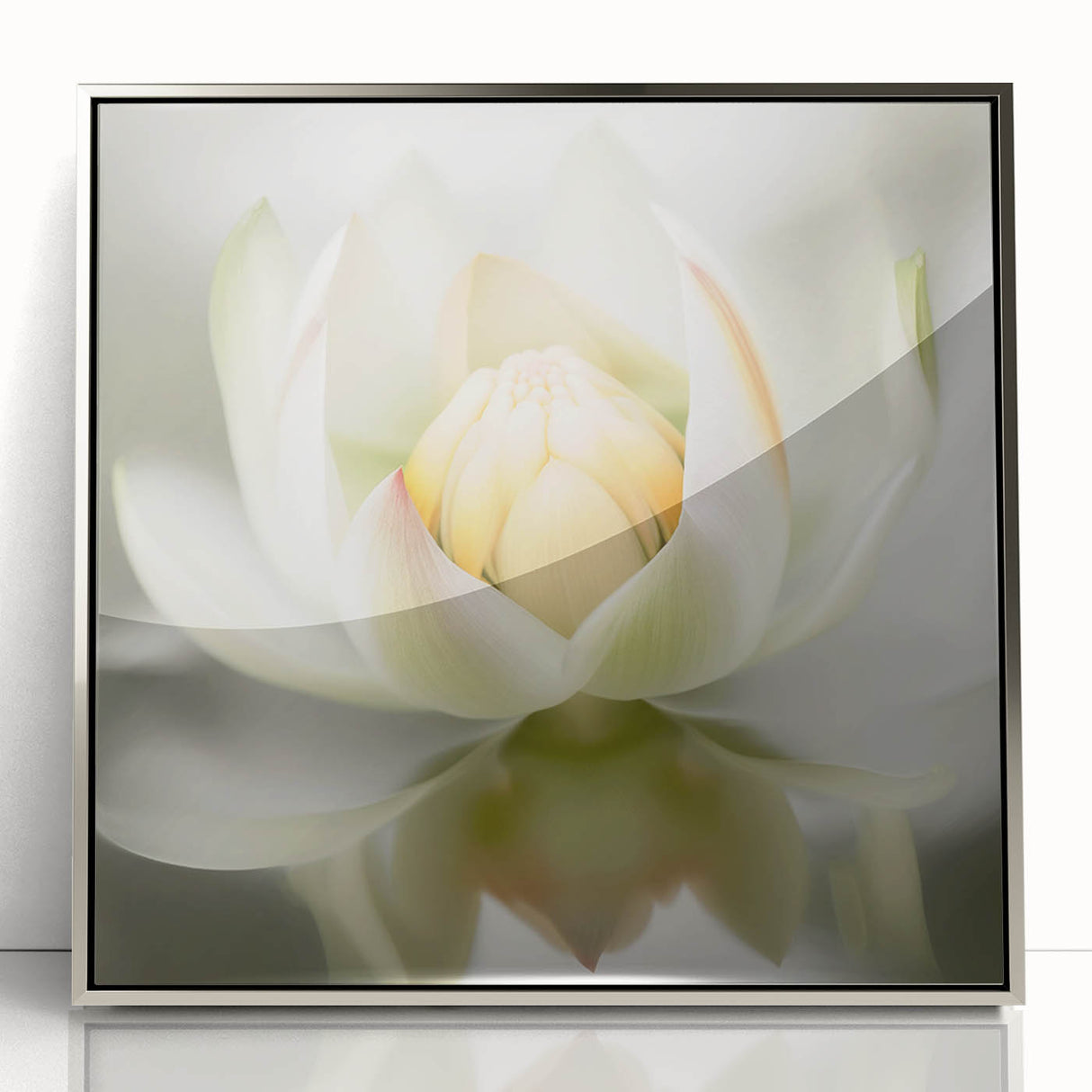 Acrylic Dining Room Artwork - Soft White Lotus Floral Print