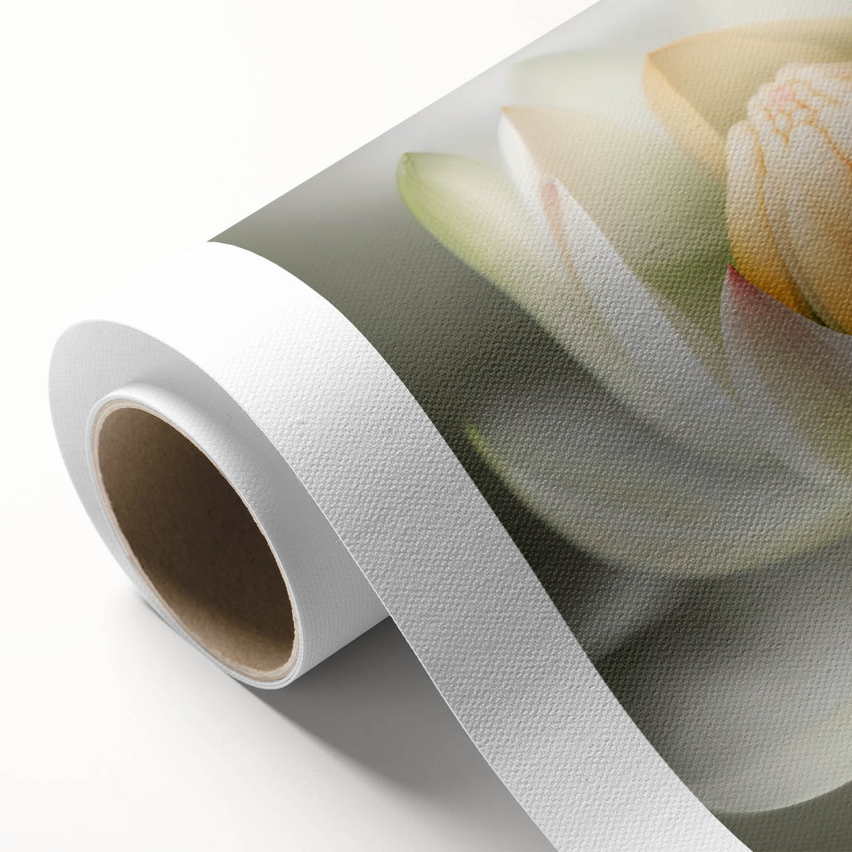 Acrylic Dining Room Artwork - Soft White Lotus Floral Print