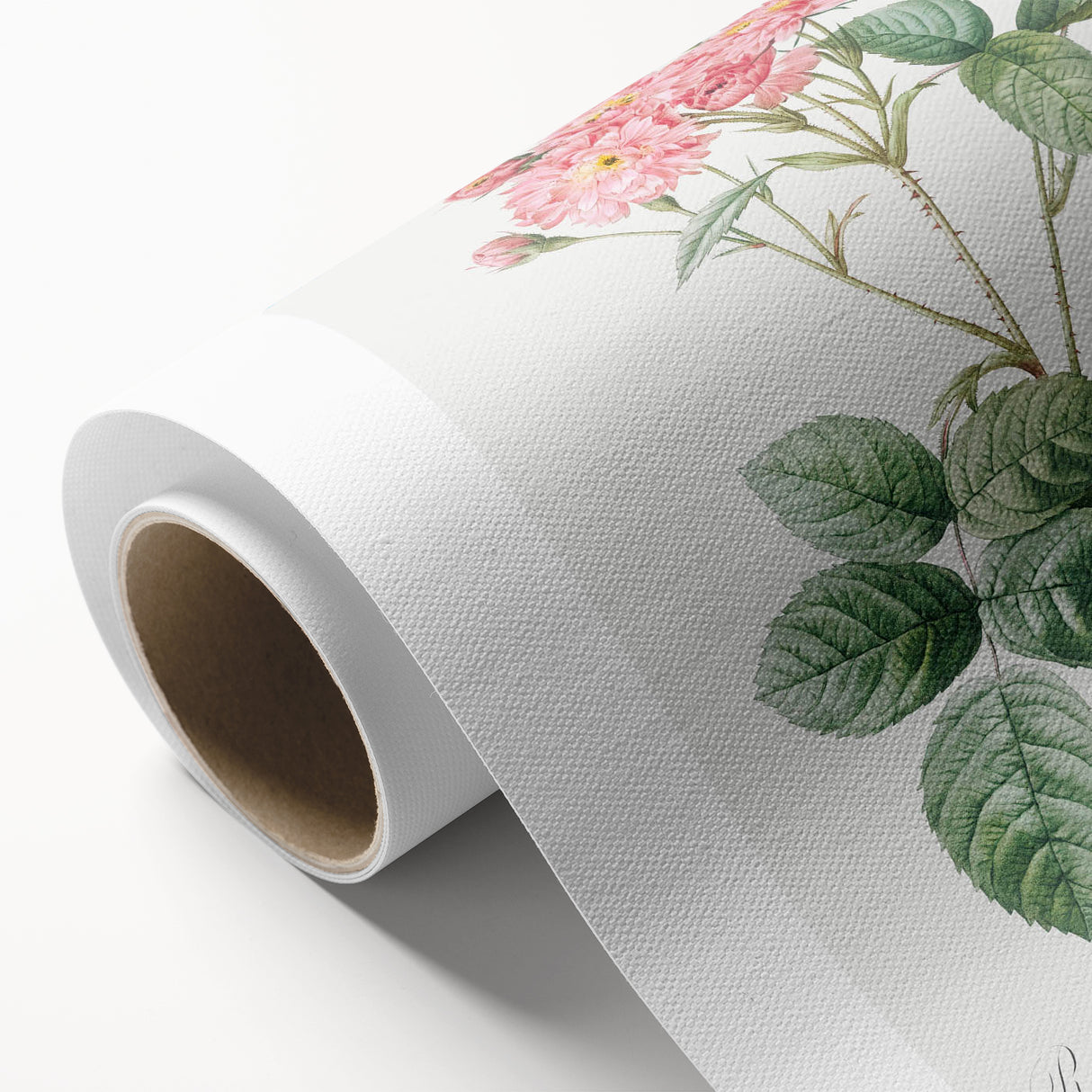 Neoclassical Cabbage Rose Print - Botanical Art by Redouté