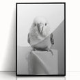 Bathroom Wall Art - Charming Bird with Toilet Paper