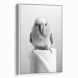 Bathroom Wall Art - Charming Bird with Toilet Paper