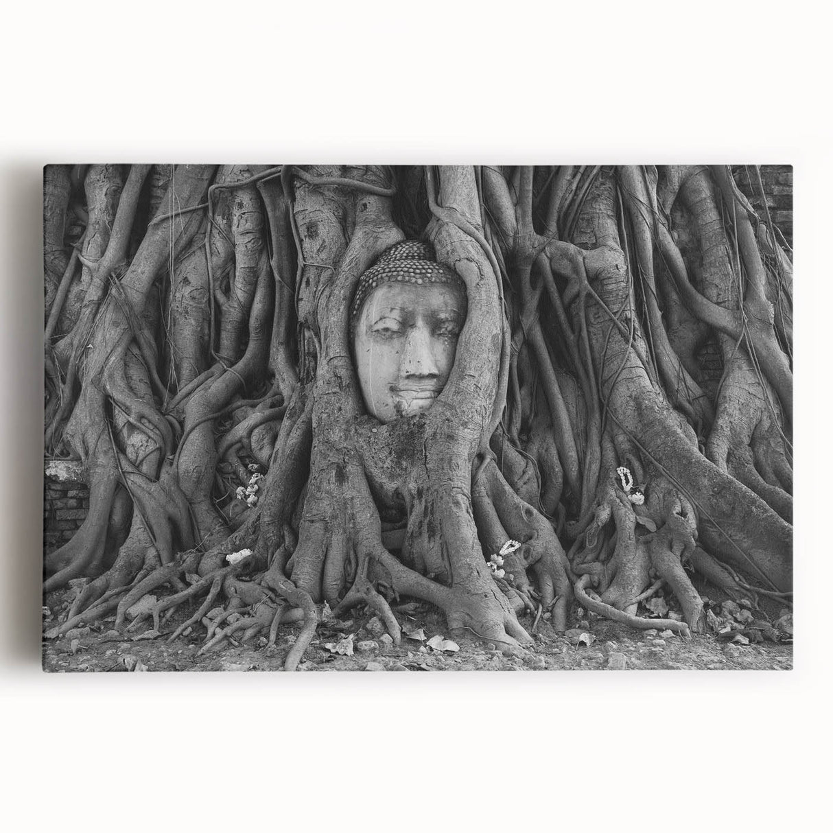 Black and white photograph of a Thai landscape on stretched canvas, ideal for kitchen wall art.