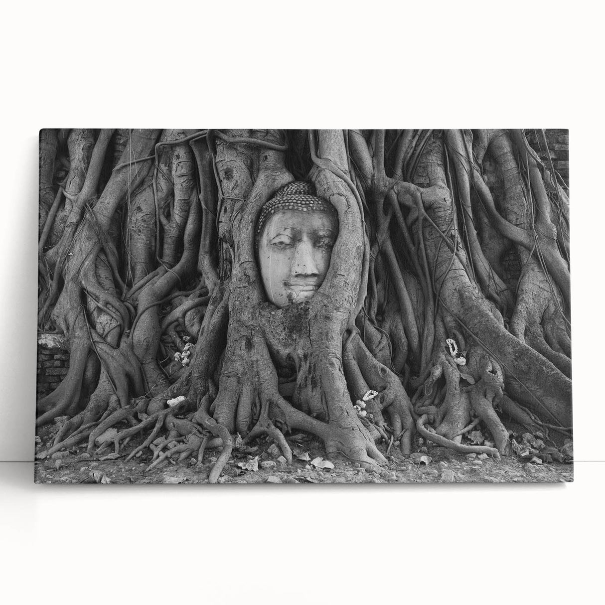 Black and white large art print of a Thai landscape on stretched canvas, ideal for kitchen wall art or bedroom ambiance.