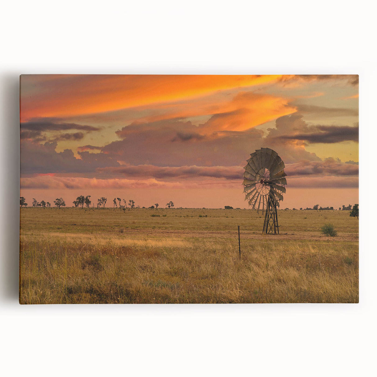 Black and white photo of Queensland scenery on large stretched canvas, ideal for kitchen wall art or bedroom decor.