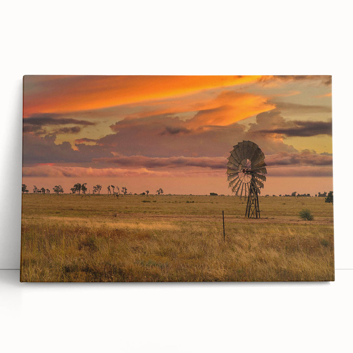 Black and white photo of Queensland scenery on large stretched canvas, suitable as kitchen wall art.