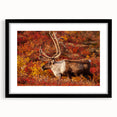 Extra large abstract art print featuring a colorful.