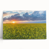 Black and white stretched canvas featuring a vast Saskatchewan landscape, ideal for kitchen wall art.
