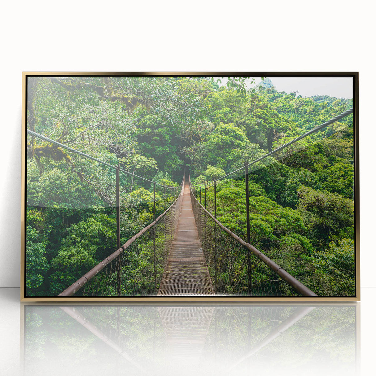 Framed acrylic print of a Costa Rican landscape in muted green and brown tones, ideal for modern art wall decor.