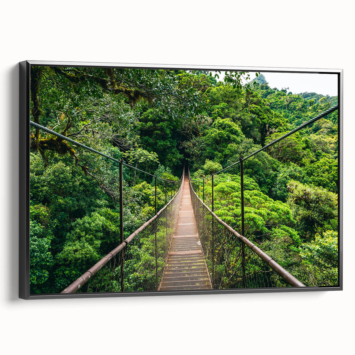Black and white landscape art painting of Central America on a framed canvas, ideal for bedroom decor.