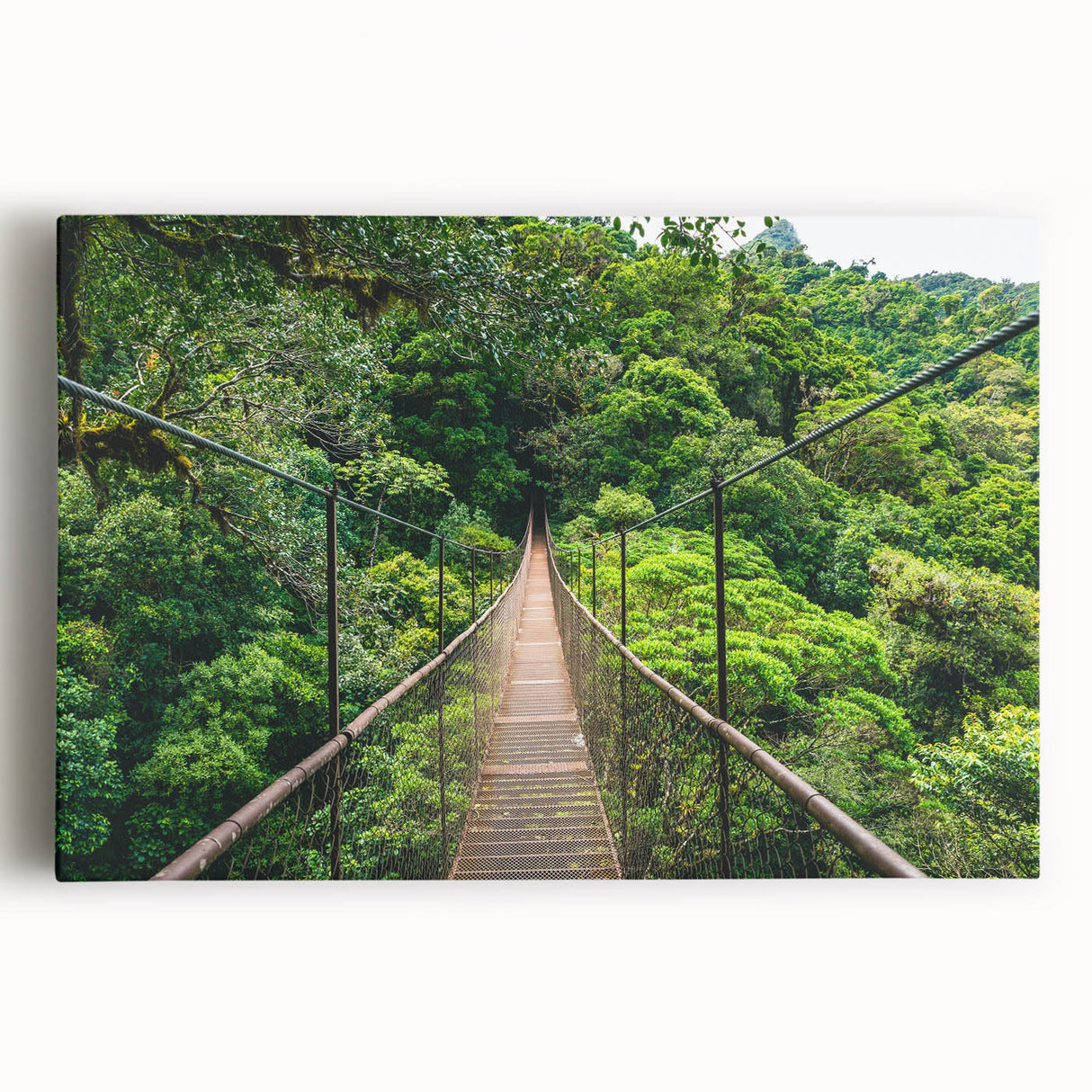 Black and white photograph of a Costa Rican landscape on stretched canvas, ideal for kitchen wall art.