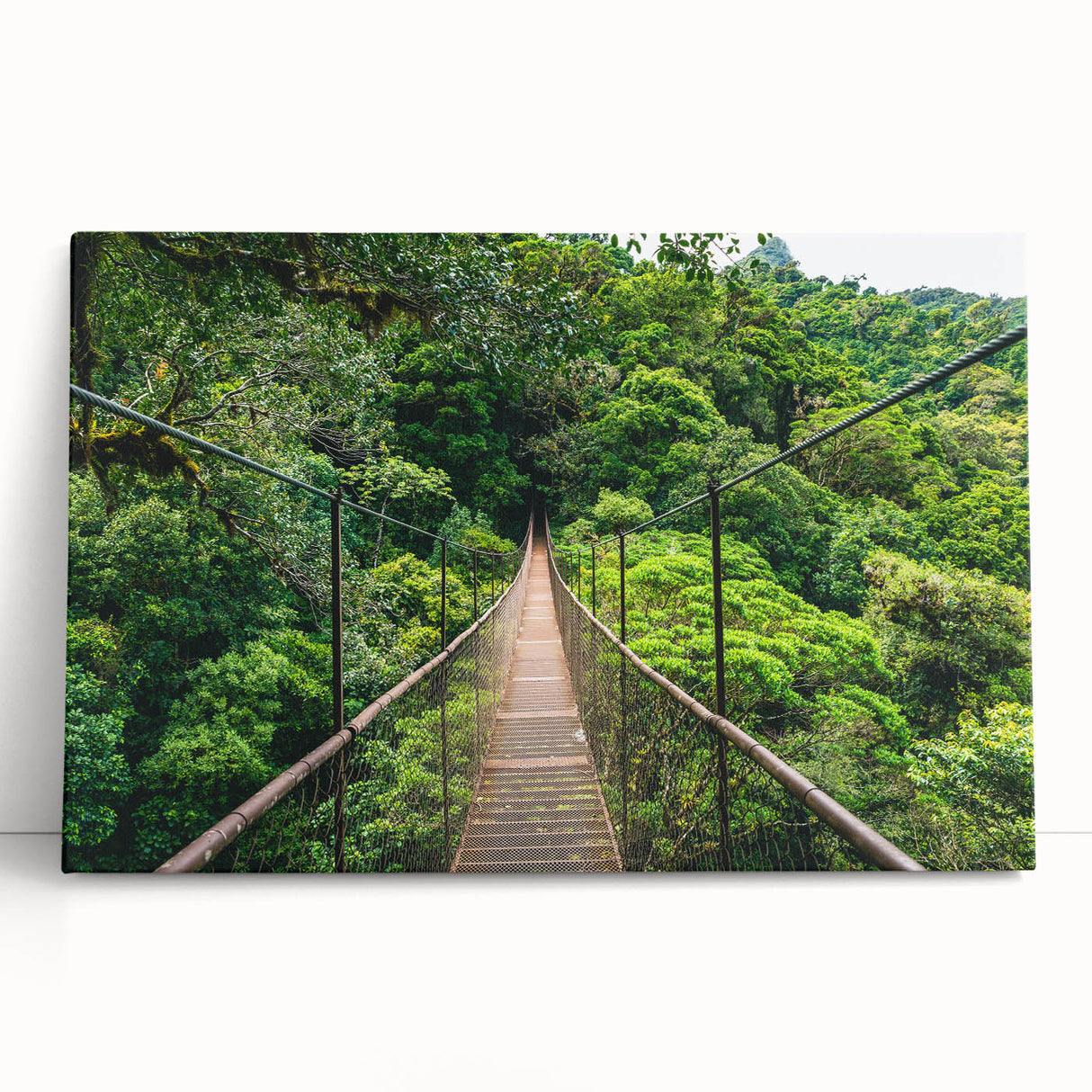 Black and white photograph of a Costa Rican landscape on stretched canvas, ideal for kitchen wall art.
