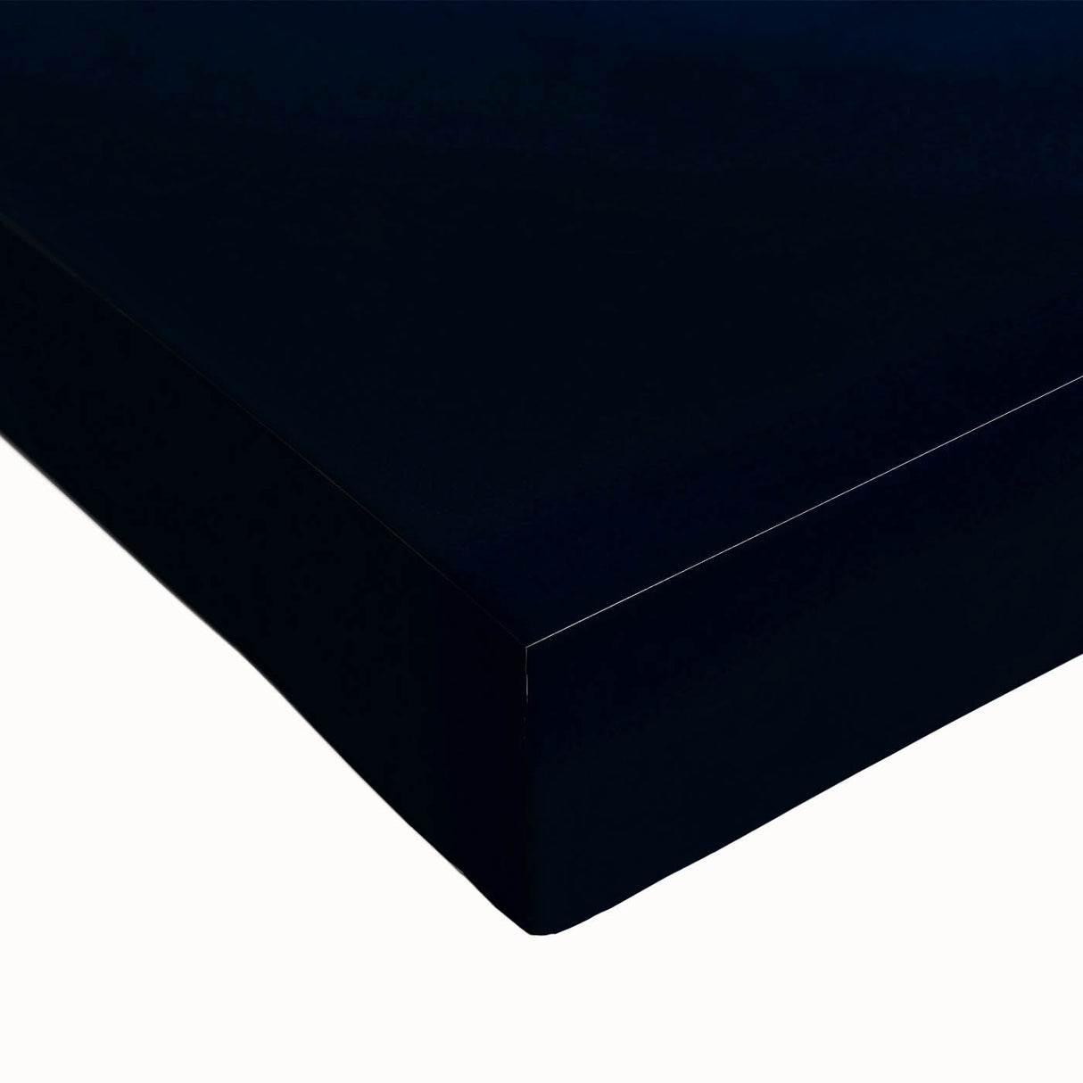 Large art depicting a black and white landscape painting of Central American scenery on stretched canvas.