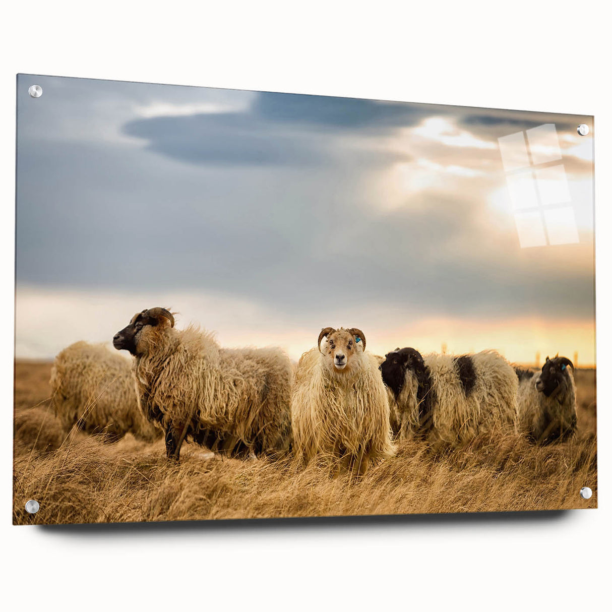 Acrylic print of a serene Icelandic landscape in muted blues and greens, ideal for dining room decor.