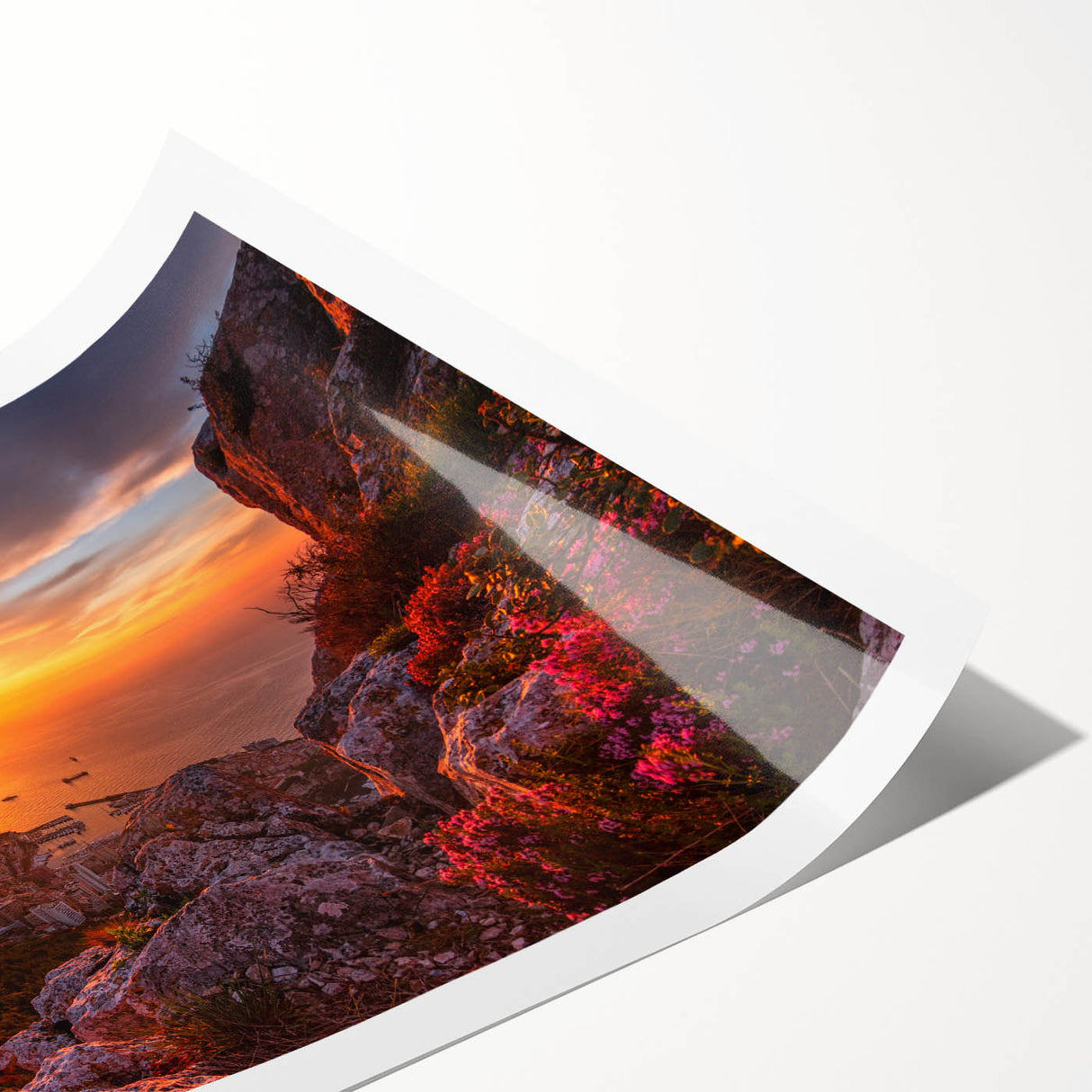 Extra large wall art featuring line art flowers in Monaco scenery, printed on rolled canvas.