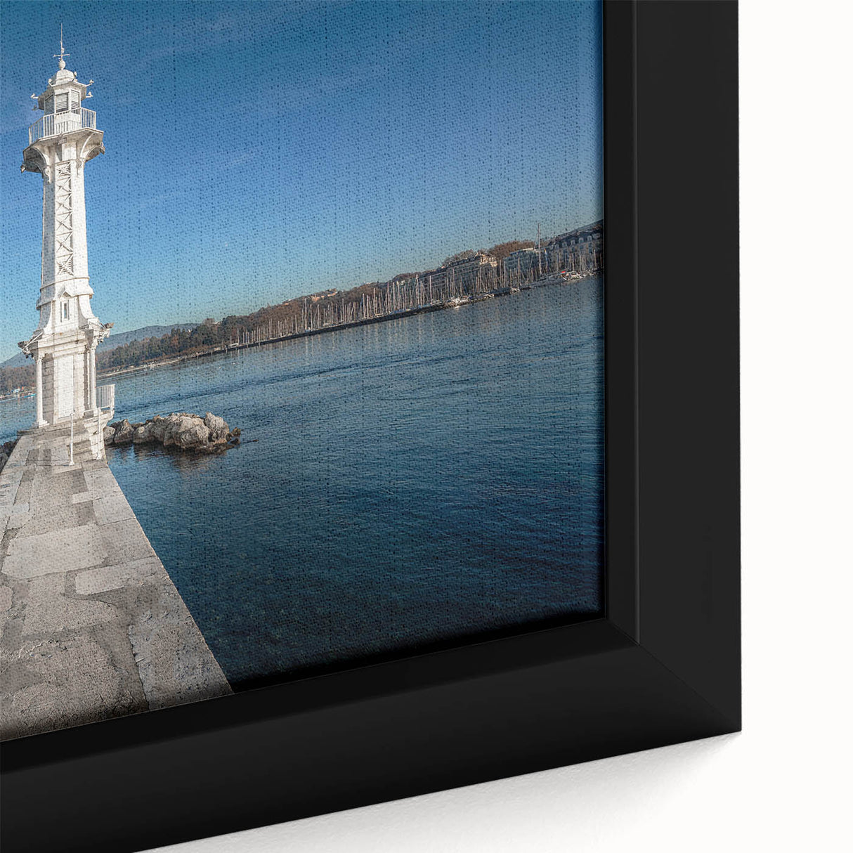Black wall art featuring a textured close-up of Geneva scenery on extra large framed canvas.