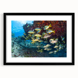 Extra large framed abstract art print depicting a vibrant, colorful Mexican Quintana Roo scenery on textured canvas.