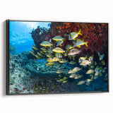 Framed canvas featuring a black and white landscape of Quintana Roo, ideal for bedroom wall decor.