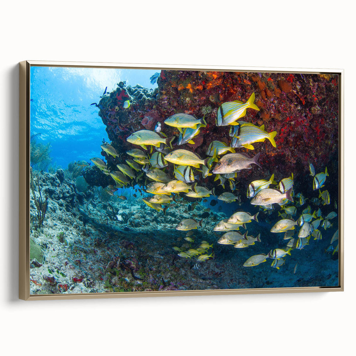 Framed canvas depicting a vintage-style landscape of Quintana Roo, Mexico in muted gold and black tones.