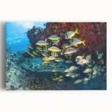 Black and white photograph of Quintana Roo scenery on large stretched canvas, suitable for kitchen wall art.