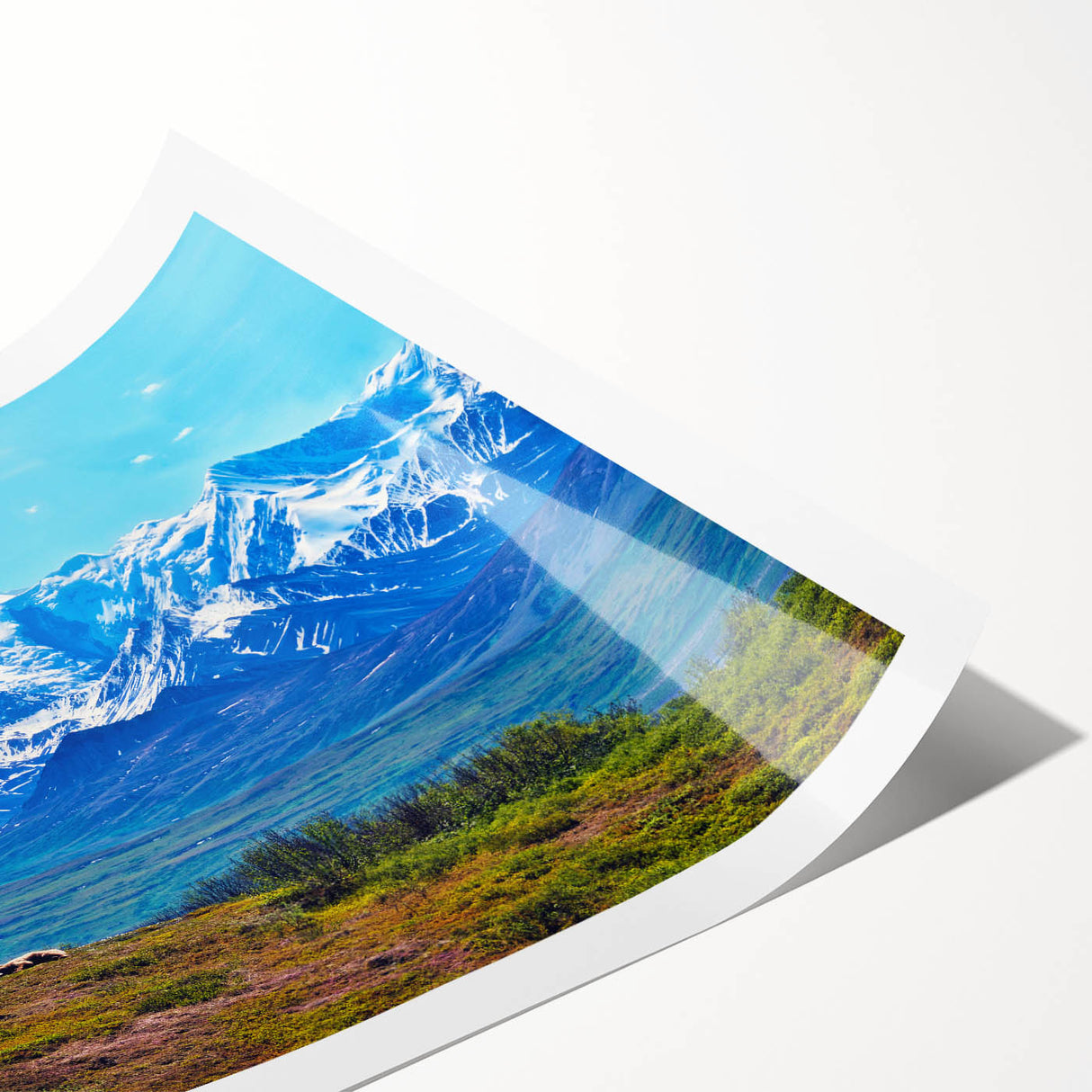 Extra large wall art featuring line art flowers over a Denali, Alaska scenery in muted earth tones on a rolled print.