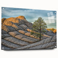 Acrylic print of Arizona's Coyote Buttes in earthy orange and brown tones, suitable for bedroom or dining room decor.