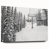 Acrylic glass print of Vail, Colorado scenery in soft natural tones, suited for bedroom or dining room decor.