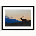 Extra large abstract art print of the Rocky Mountains with textured, colorful art in a black frame.