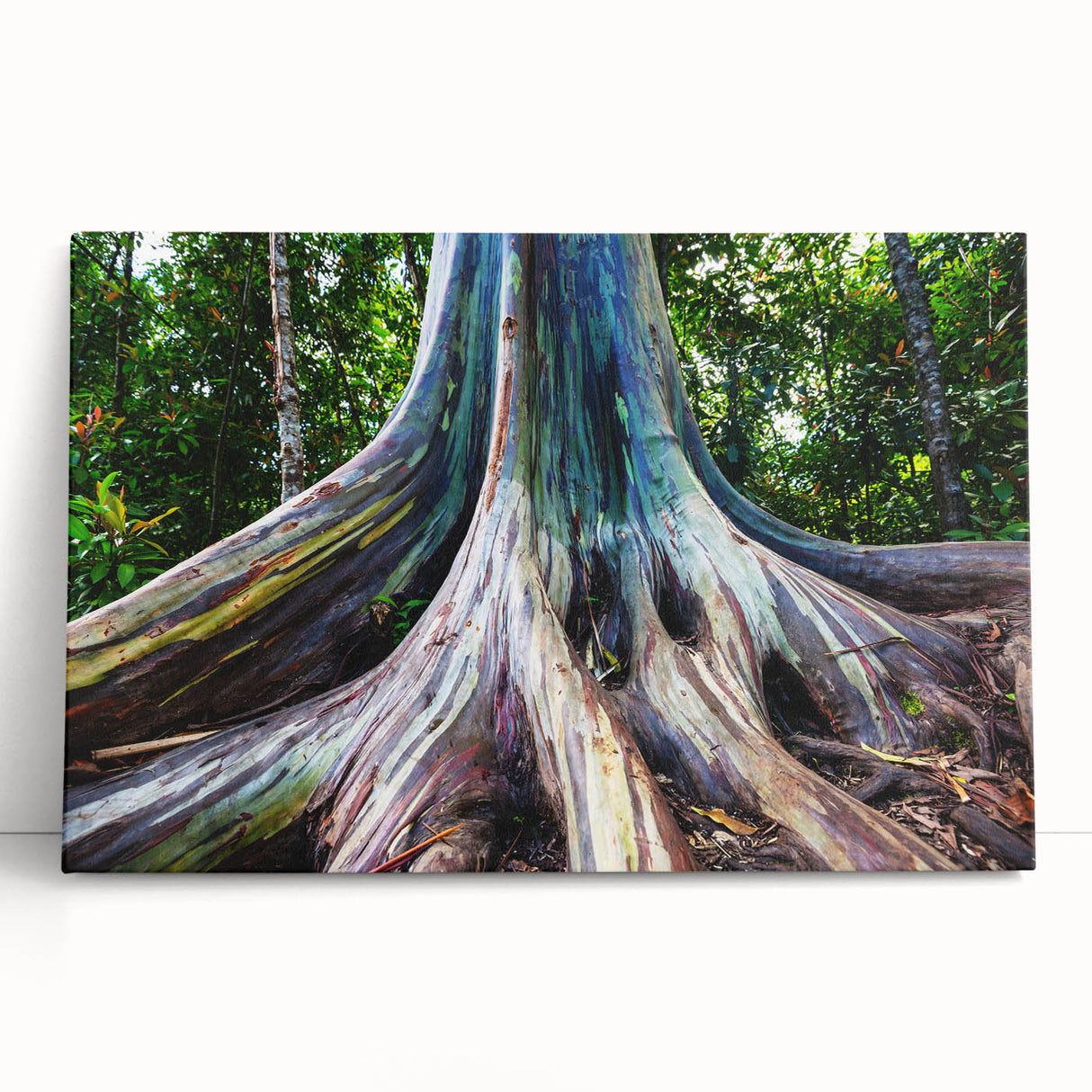 Black and white photograph of Maui scenery on stretched canvas, ideal for kitchen wall art.