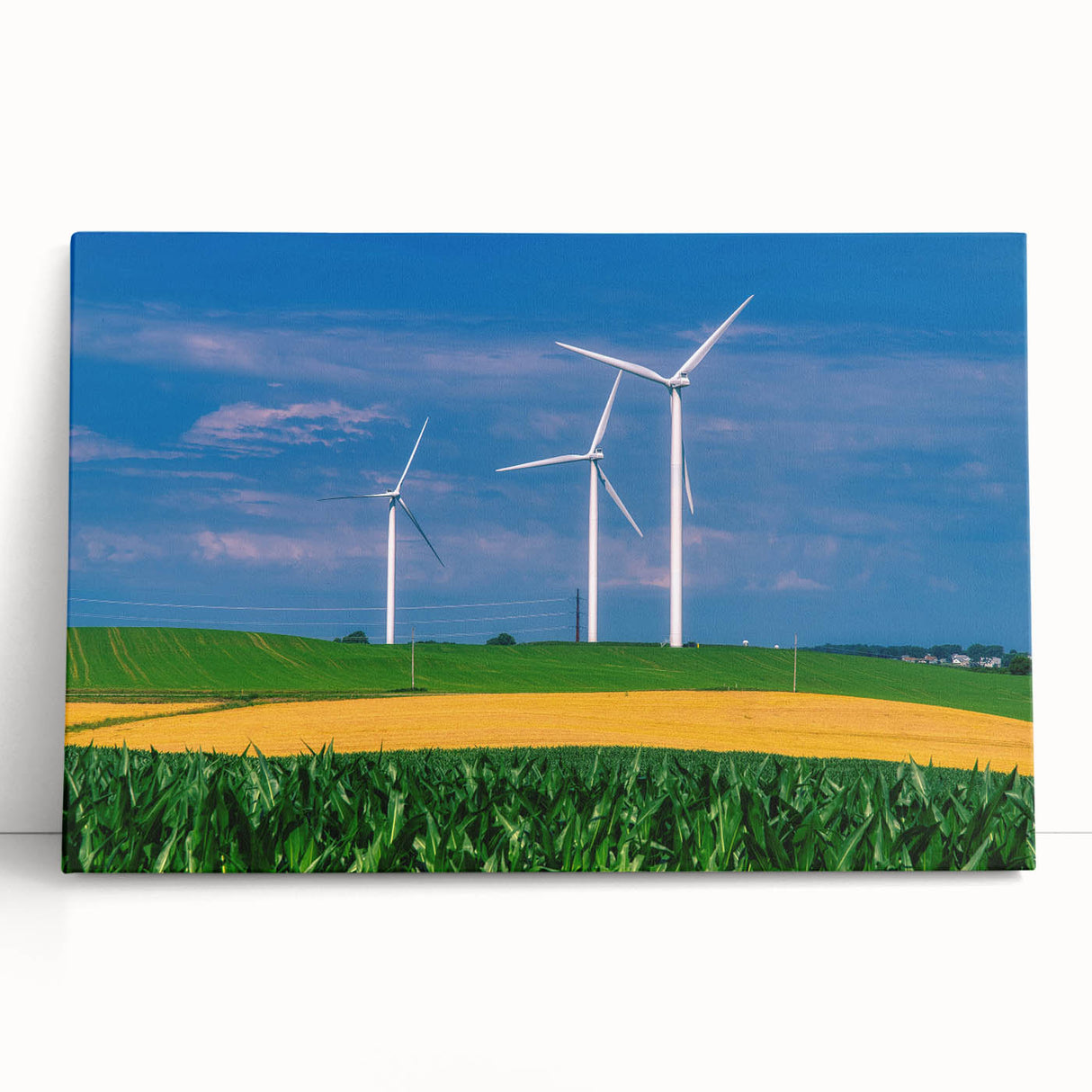 Black and white photograph of an Iowa landscape on a large stretched canvas, ideal for kitchen wall art or bedroom decor.