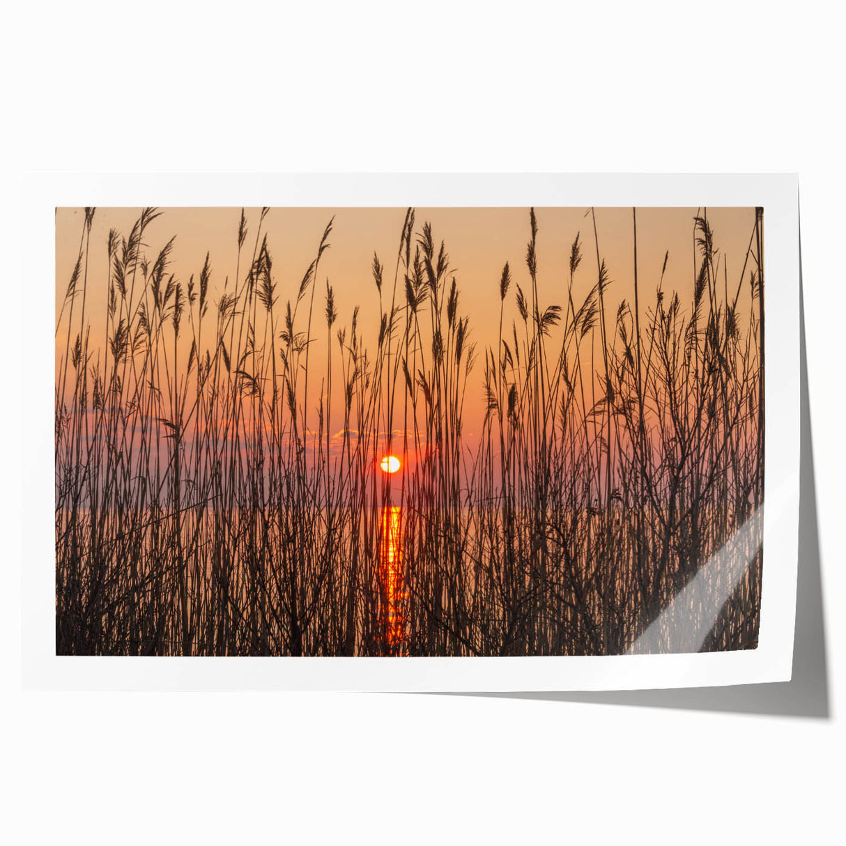 Extra large rolled print depicting Chesapeake Bay with muted blue and green tones, ideal for classy bathroom wall art.