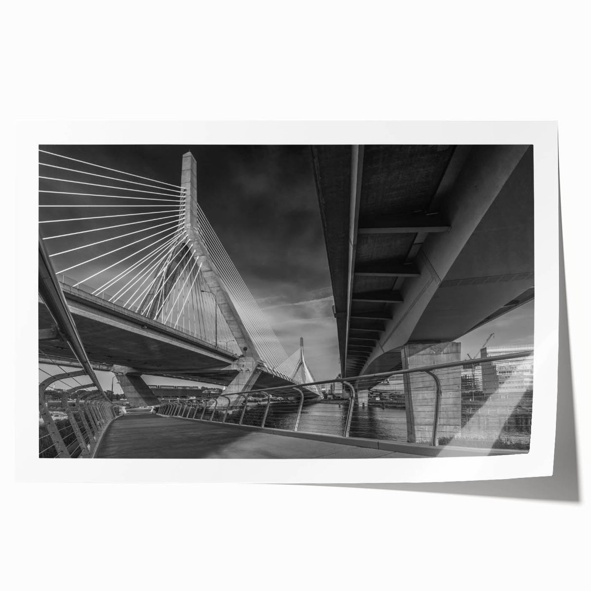 Rolled print of Boston skyline with floral foreground in muted earth tones, suitable for dining room wall art.