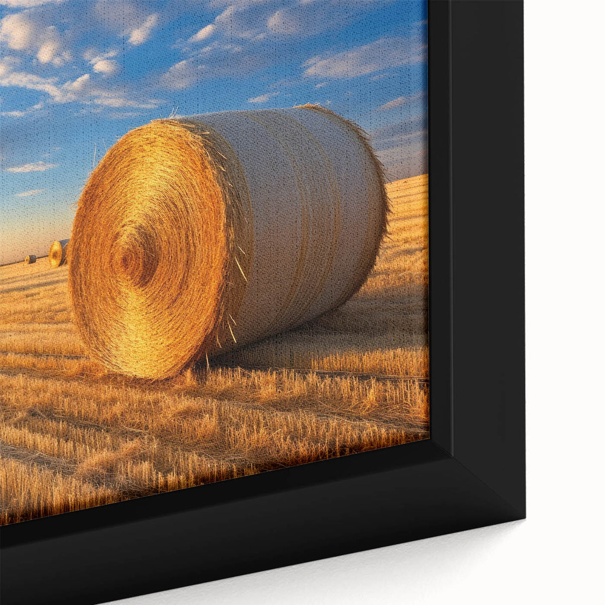Extra large framed canvas depicting a textured Nebraska scenery in black with vibrant color accents.