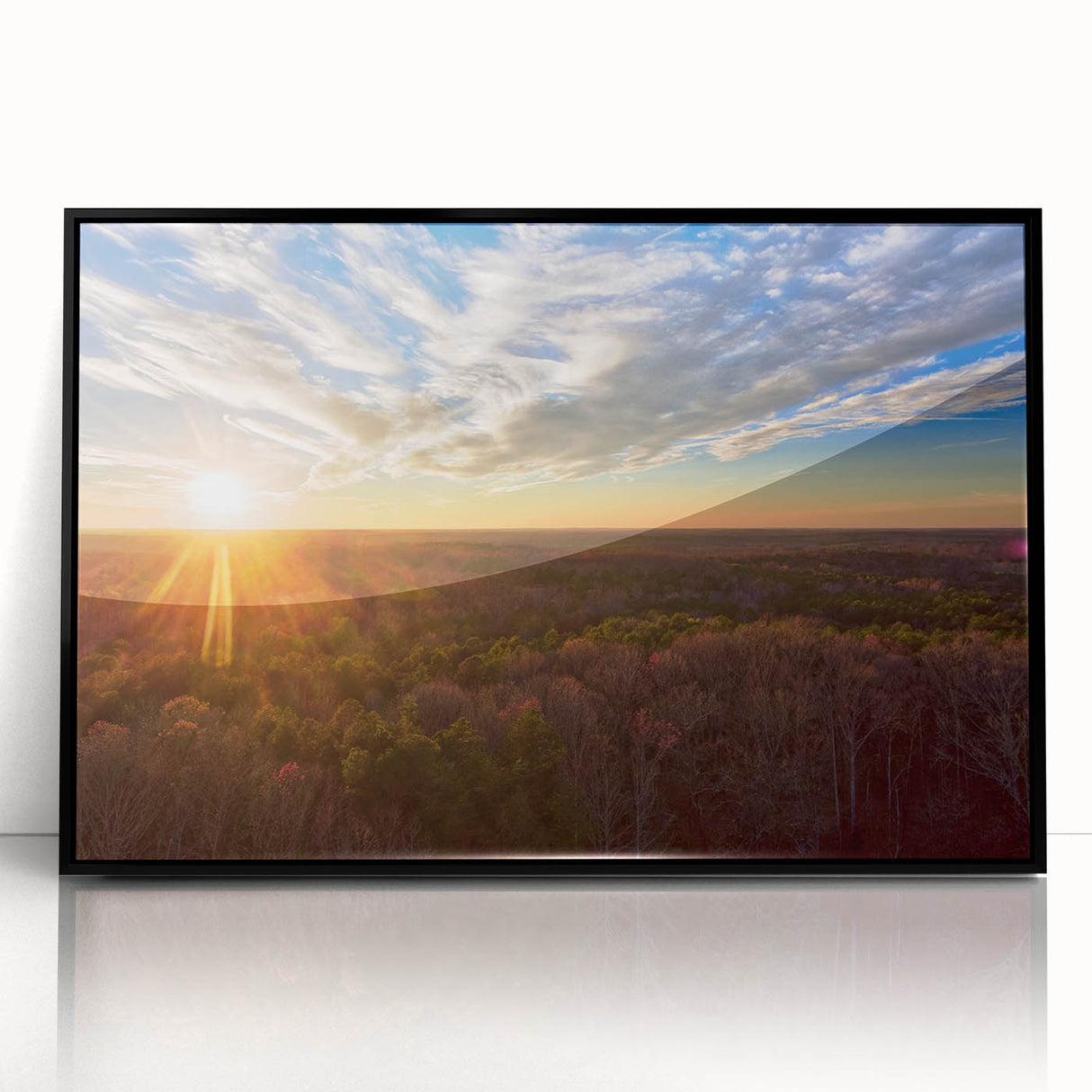 Large abstract wall art depicting Virginia scenery in black and white tones on a framed acrylic.