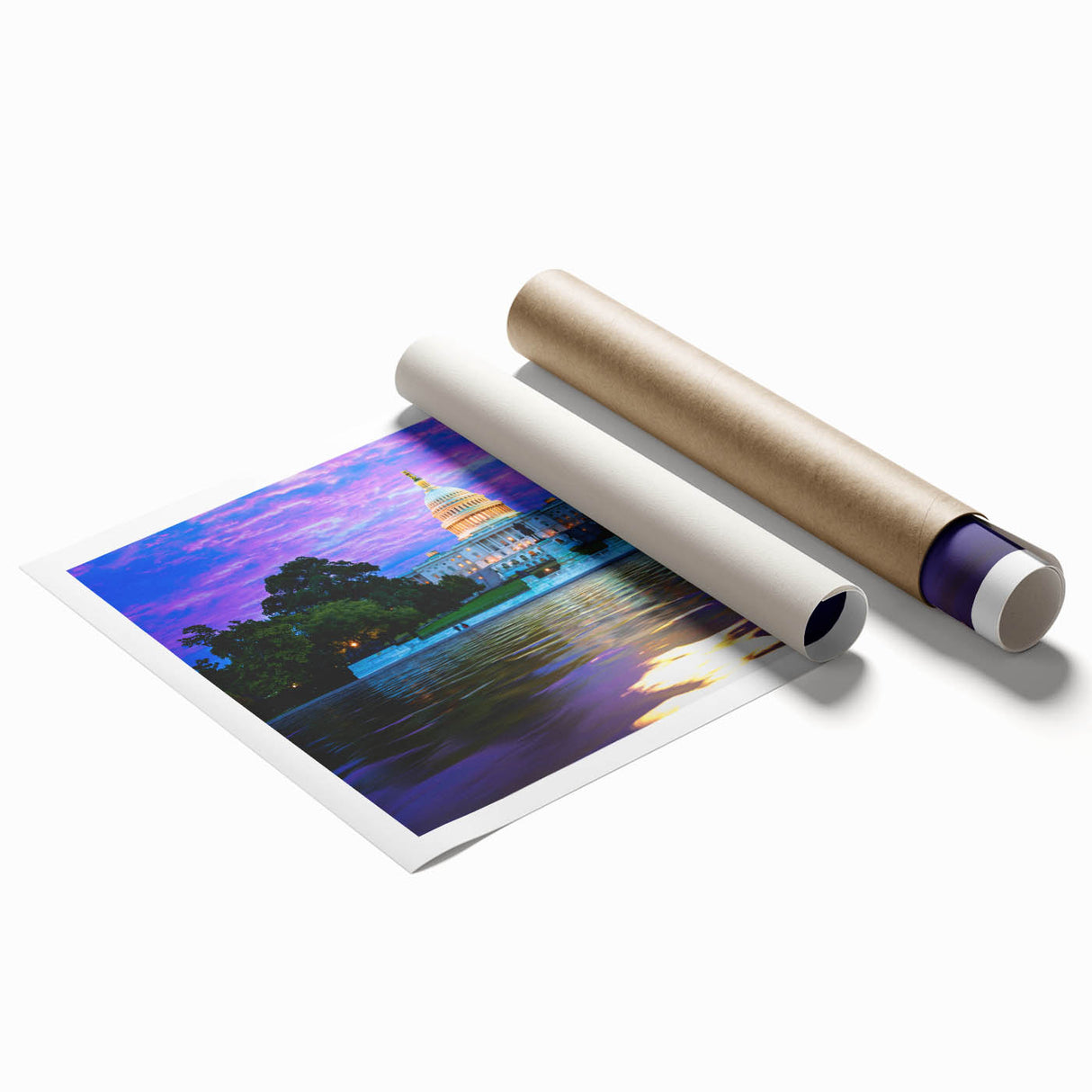 Rolled print of Washington DC Capitol with soft floral motifs in pastel shades.