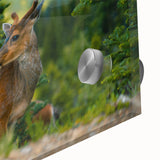 Large abstract depiction of Olympic scenery in mid-century modernist style on acrylic glass, suitable as dining room art.