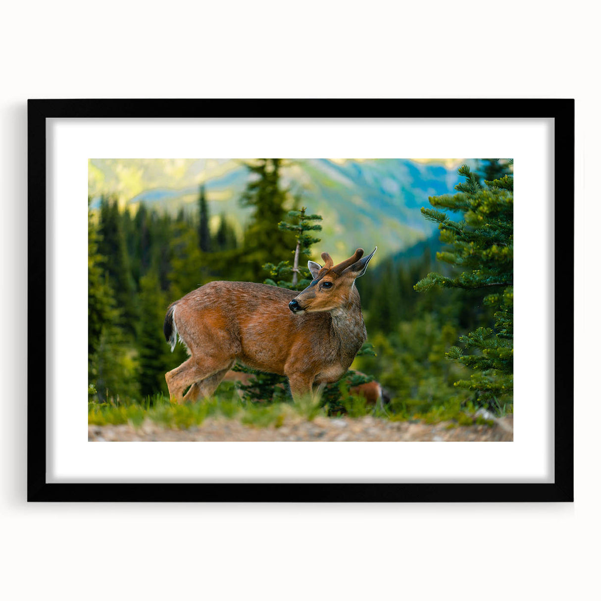 Colorful abstract art print of Olympic scenery in vibrant hues on a textured, extra large canvas.