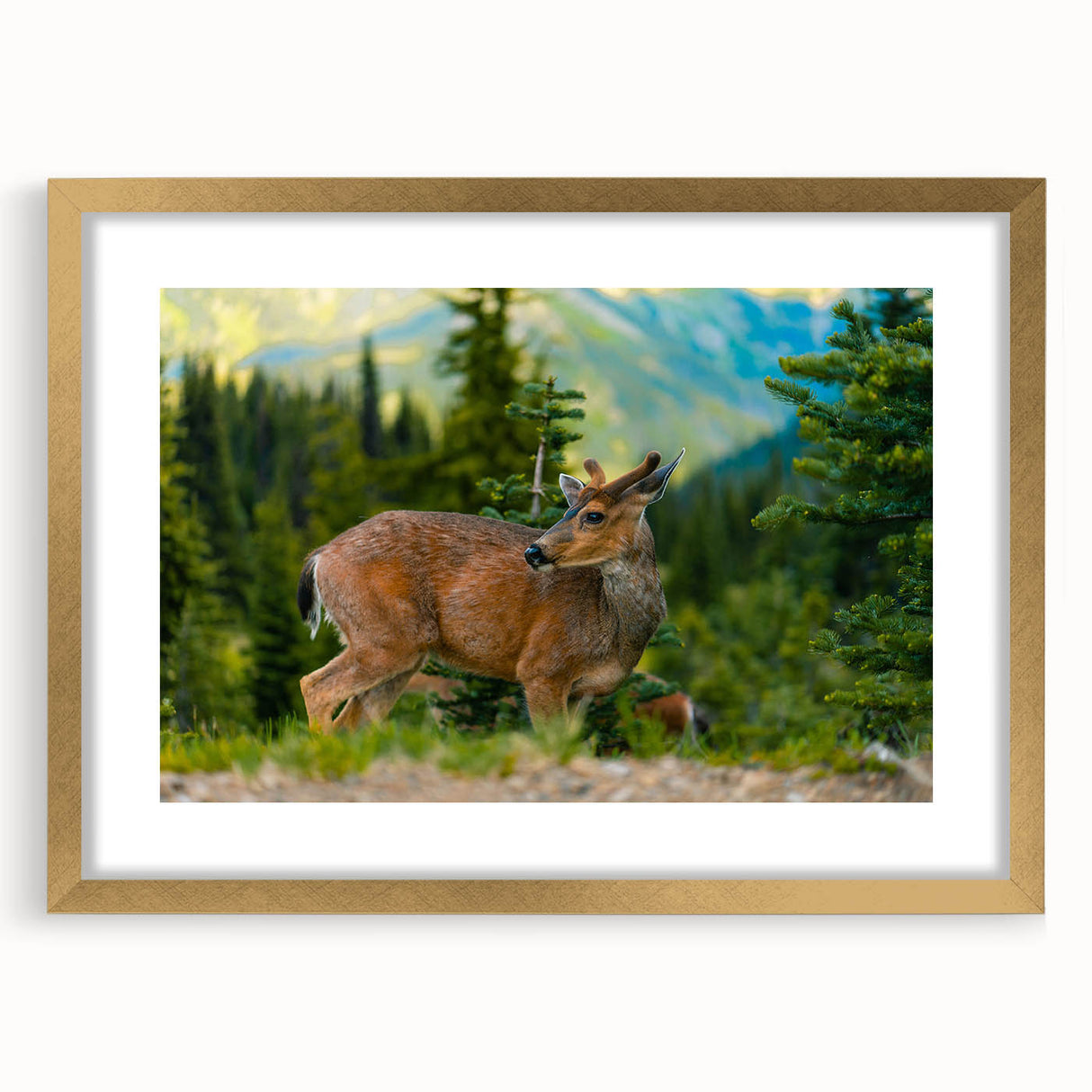 Extra large abstract art print of Olympic scenery in textured style, framed in gold, ideal for living room decor.
