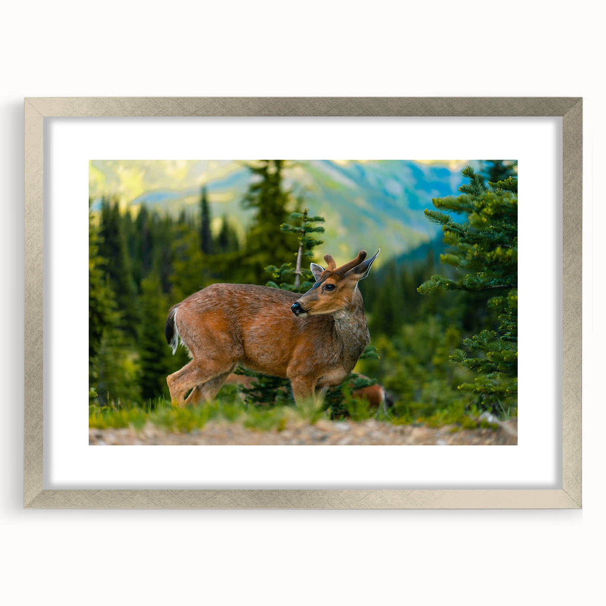 Textured abstract art print of Olympic scenery in muted earth tones on a silver-framed mat, suitable for bedroom art.
