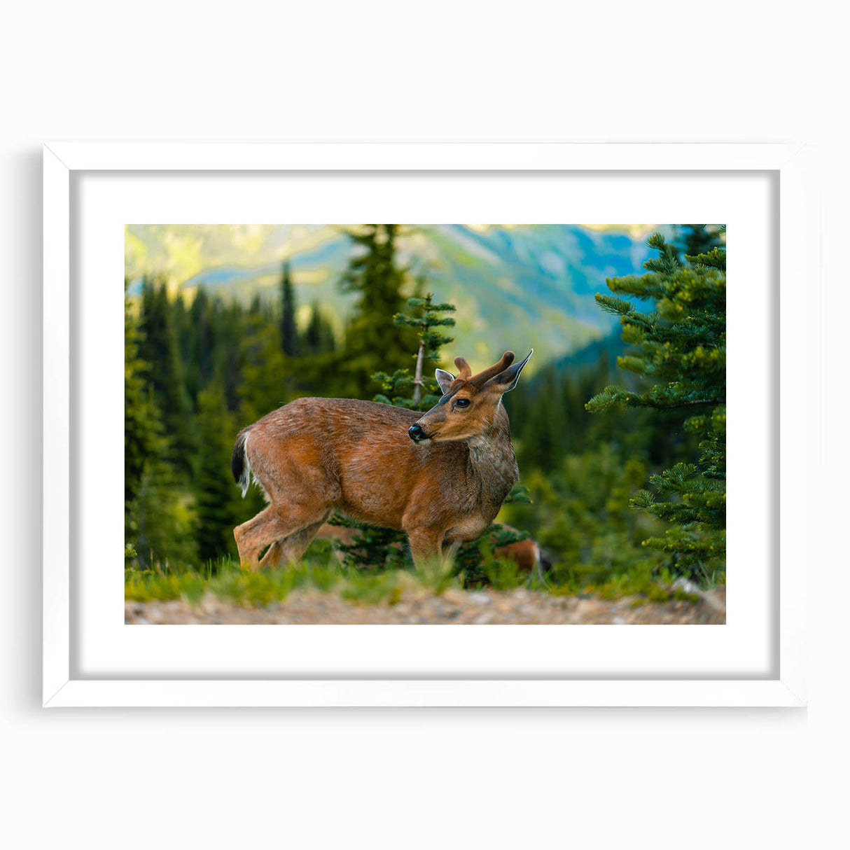 Abstract art print of Olympic National Park in muted green and blue tones, framed in white.