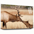 Acrylic print of Yellowstone National Park with vibrant green and blue tones, ideal for dining room decor.