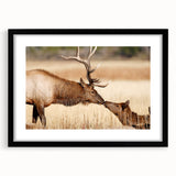 Extra large framed wall art of an abstract Yellowstone scenery in vibrant, colorful textures, ideal for living room decor.