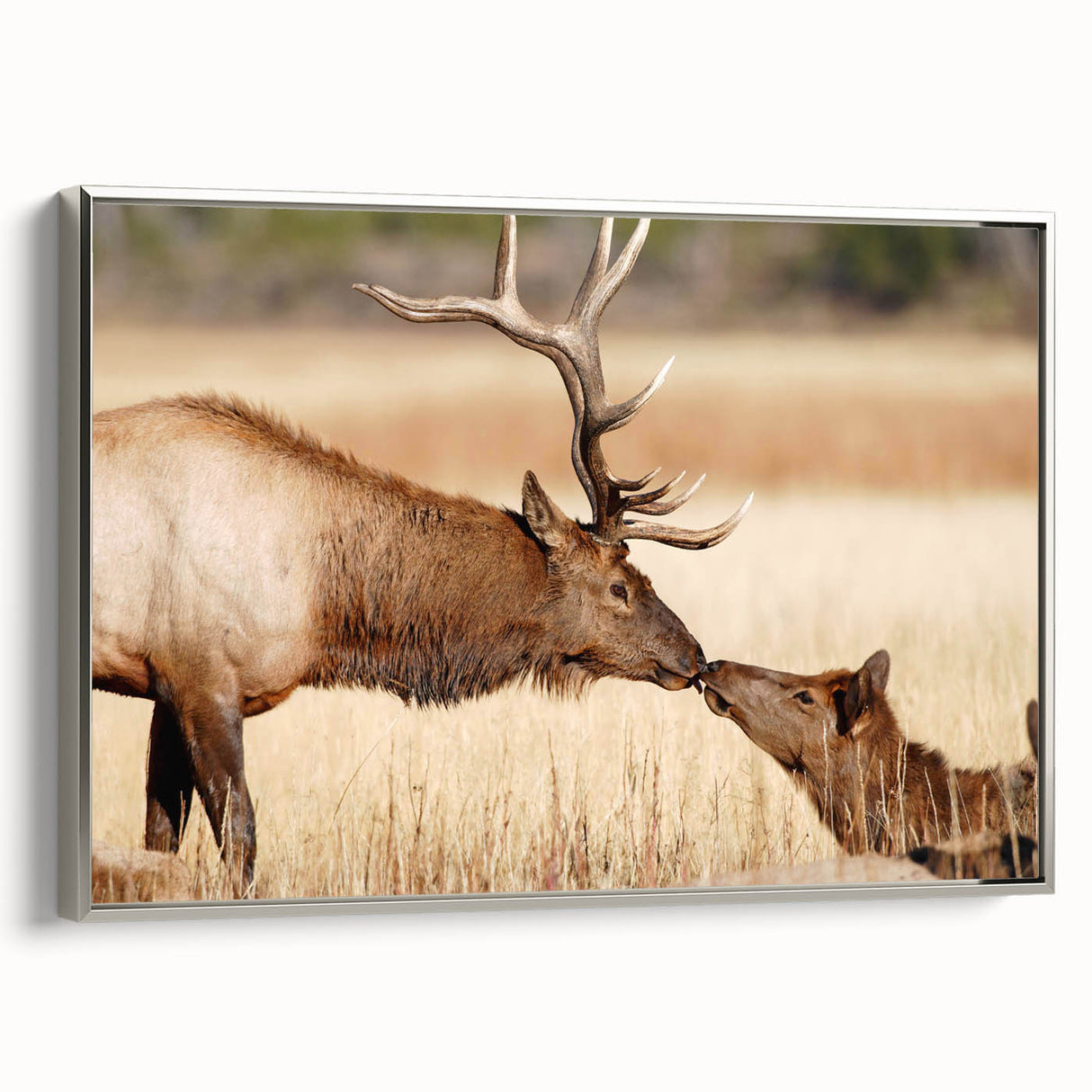Landscape art painting of Yellowstone, featuring vibrant colors on framed canvas, suitable for living room decor.