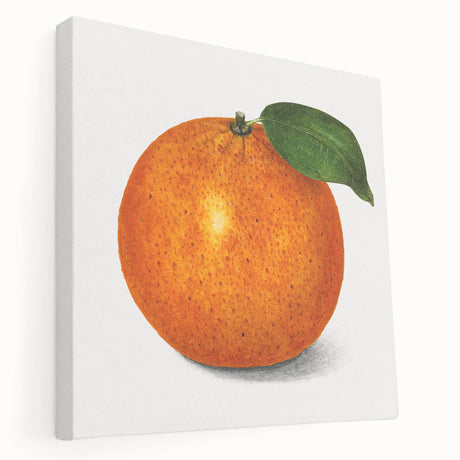 Assorted colorful fruits on a large stretched canvas, suitable for kitchen wall art.