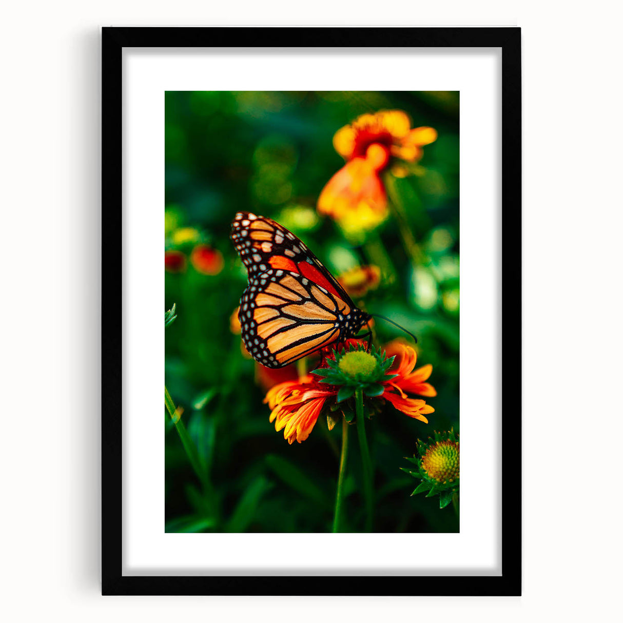 Abstract art print featuring textured, colorful swirls on extra large canvas, framed in black, suited for living room decor.