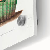 Modern Wall Art: Vibrant Rainbow Cactus Illustration with Pink Blooms