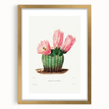 Modern Wall Art: Vibrant Rainbow Cactus Illustration with Pink Blooms