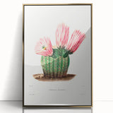 Modern Wall Art: Vibrant Rainbow Cactus Illustration with Pink Blooms