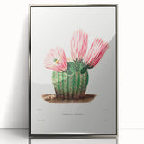 Modern Wall Art: Vibrant Rainbow Cactus Illustration with Pink Blooms