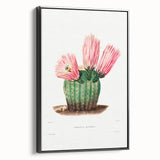 Modern Wall Art: Vibrant Rainbow Cactus Illustration with Pink Blooms