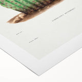 Modern Wall Art: Vibrant Rainbow Cactus Illustration with Pink Blooms